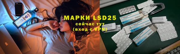 сатива Кулебаки