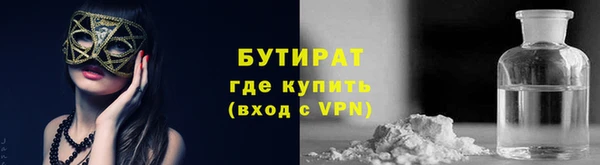 сатива Кулебаки
