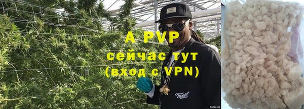 сатива Кулебаки