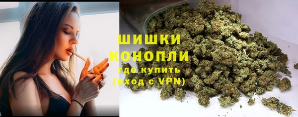 сатива Кулебаки