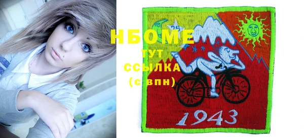 сатива Кулебаки