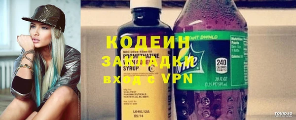 сатива Кулебаки